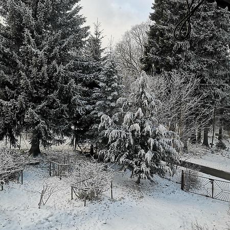 Apartament Przytulny apartament SUDECKI KLIMAT i rowery gratis Szklarska Poręba Zewnętrze zdjęcie